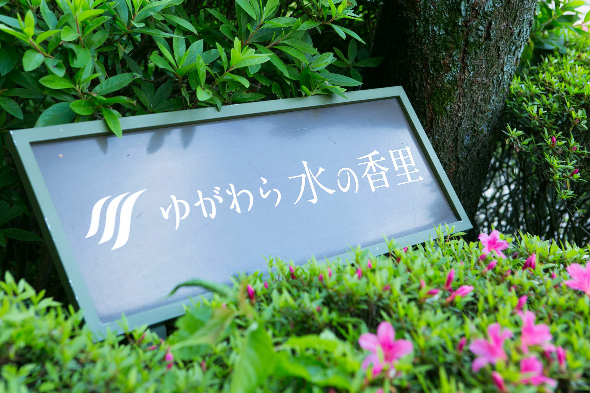 Hotel Yugawara Mizunokaori Zewnętrze zdjęcie